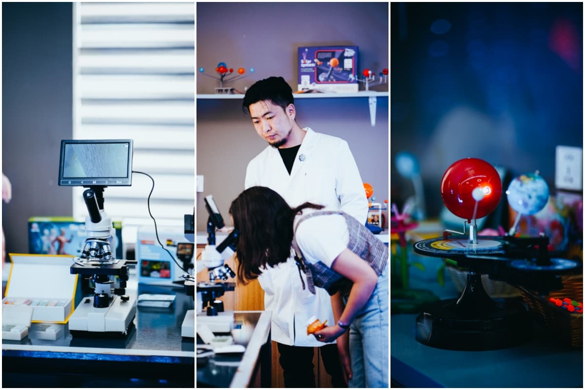 lab
